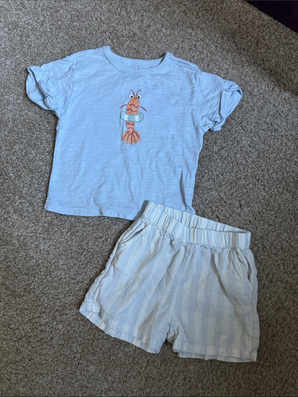 Cloud Island Shrimp Set